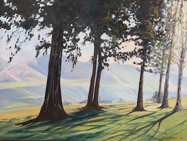 Debbie Lambert|  Autumn Shadows|  Rangitata Upper Downs Rod |McAtamney Gallery and Deisgn Store